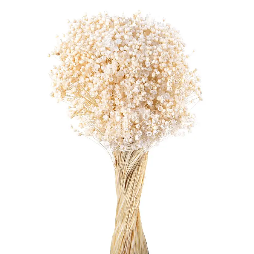2 Pezzi • Mazzo glixia pe liso • 50 cm