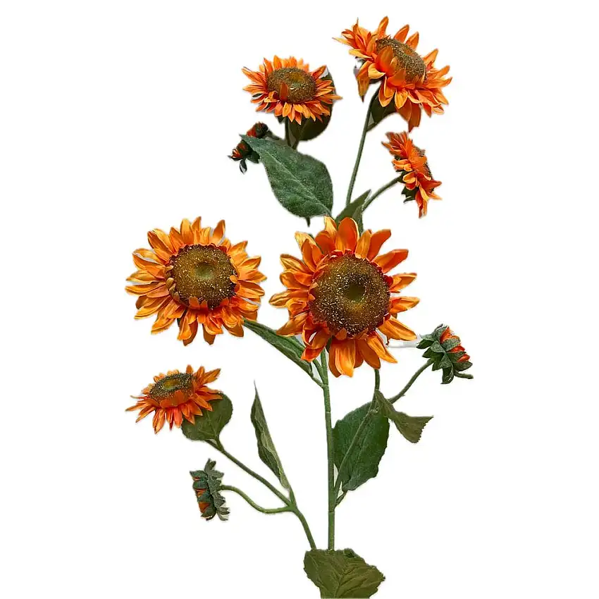 EDG - Girasole Rex Ramox9 H130 Orange