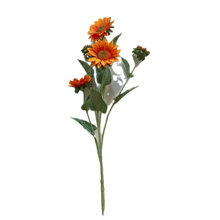 EDG - Girasole Rex Ramox5 H80 Orange