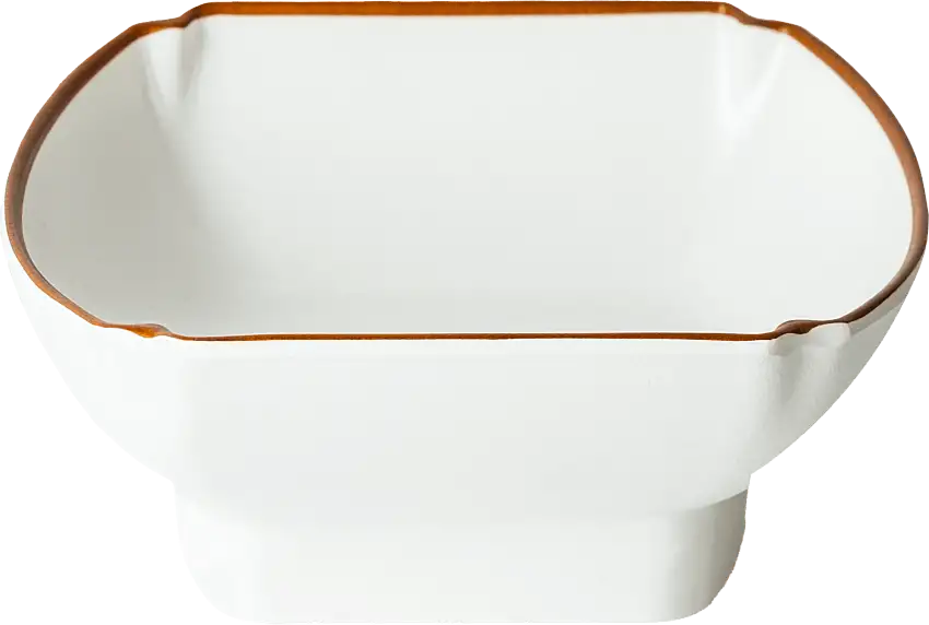 Bowl Sagomato in melamina Cosmopolitan Baci Milano