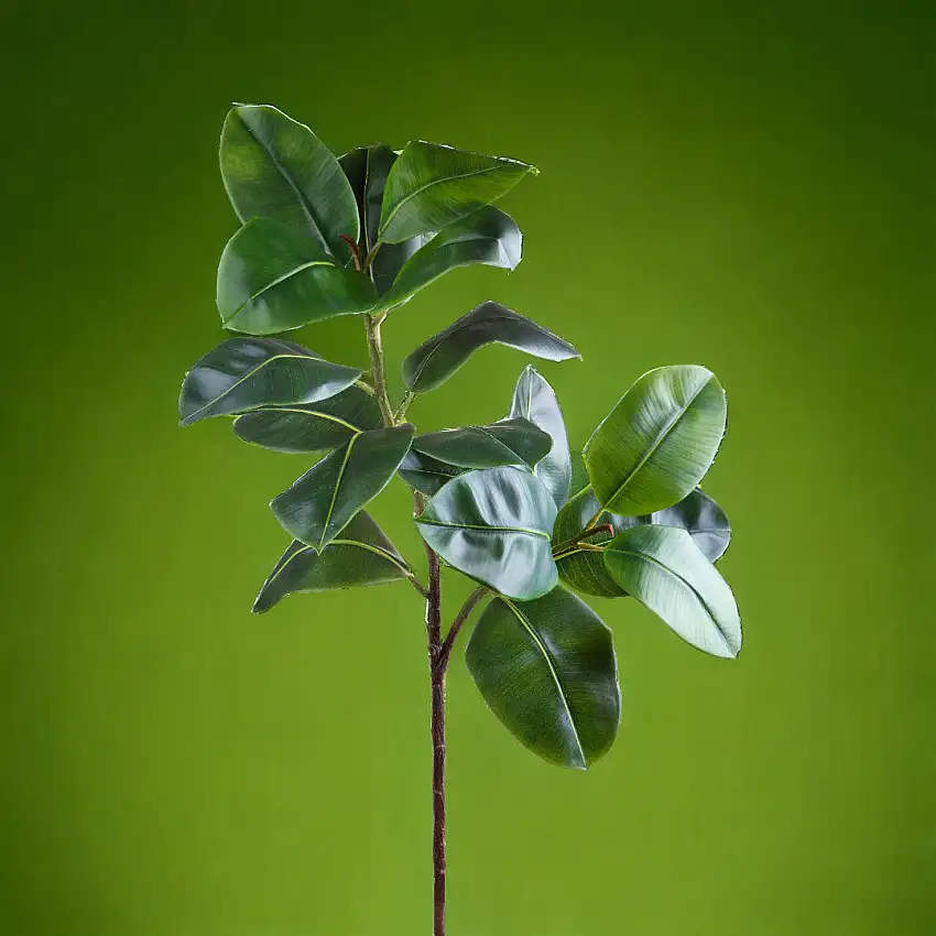 Verde artificiale Ramo di ficus real touch • 120 cm