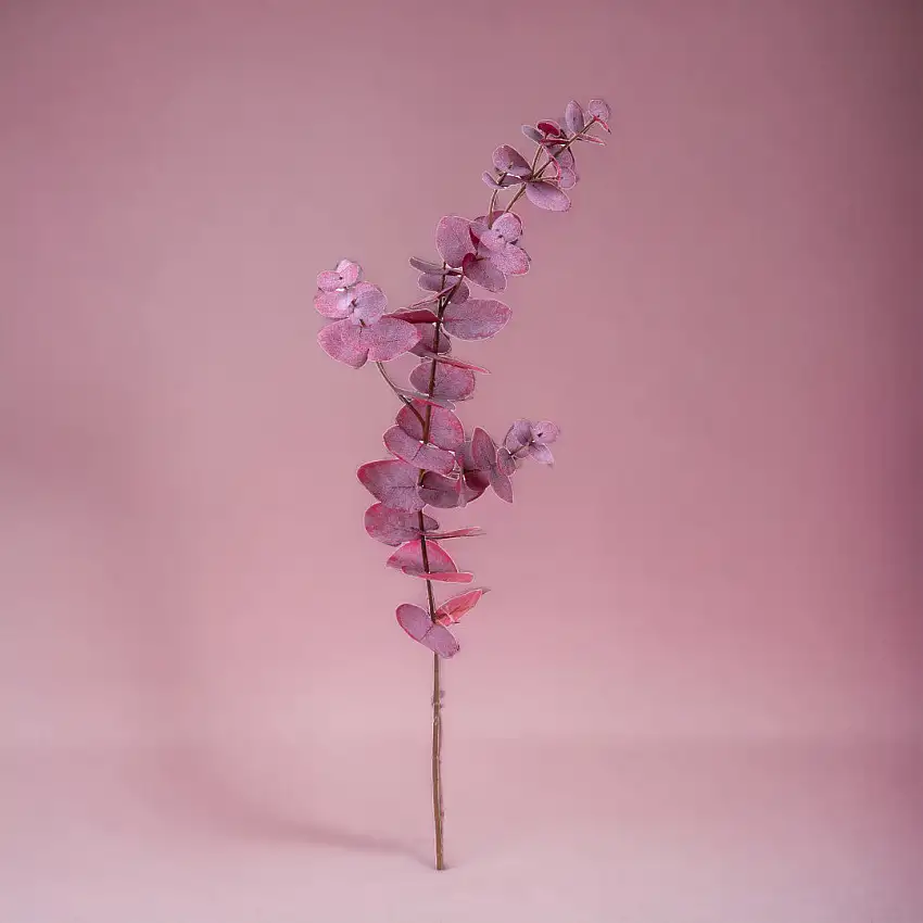 2 Pezzi • Eucalipto ramo artificiale •  75 cm