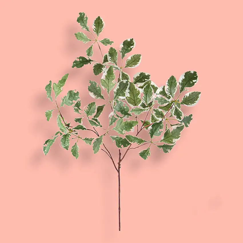 2 Pezzi • Tralcio foglie variegate artificiale •  103 cm
