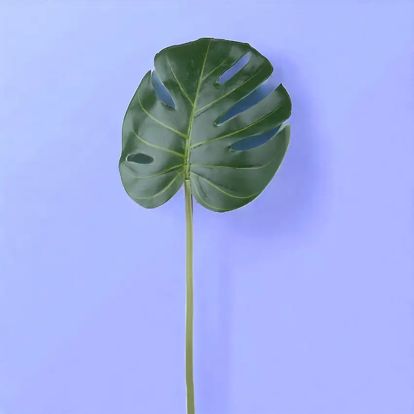4 Pezzi • Foglia monstera artificiale •  55 cm