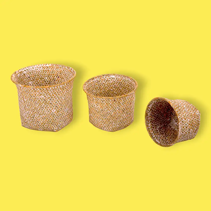 2 Pezzi • 32 cm