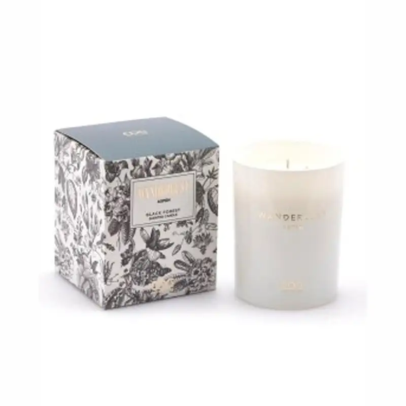 CANDELA WANDERLUST H12.50