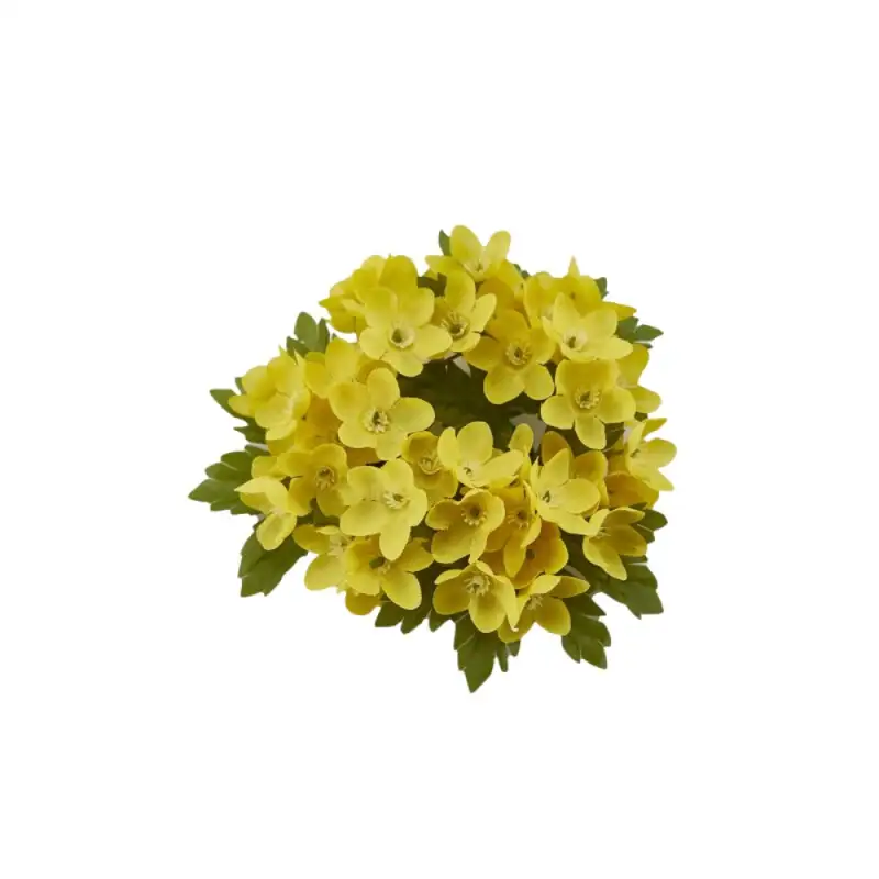 EDG Enzo De Gasperi Corona Gypsophila alpina gialla 10cm