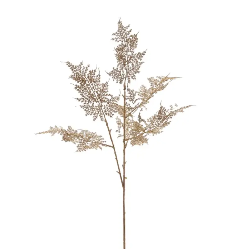ASPARAGUS RAMO H80 ORO