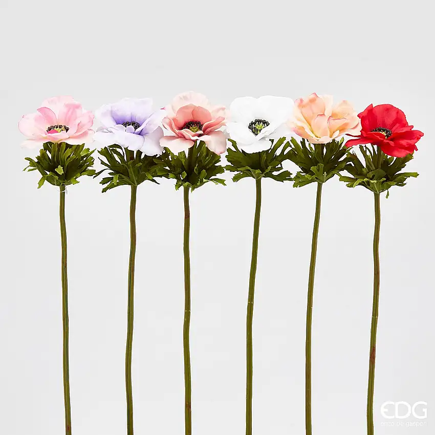 Anemone Chic Ramo 6 ass. h.50 Edg