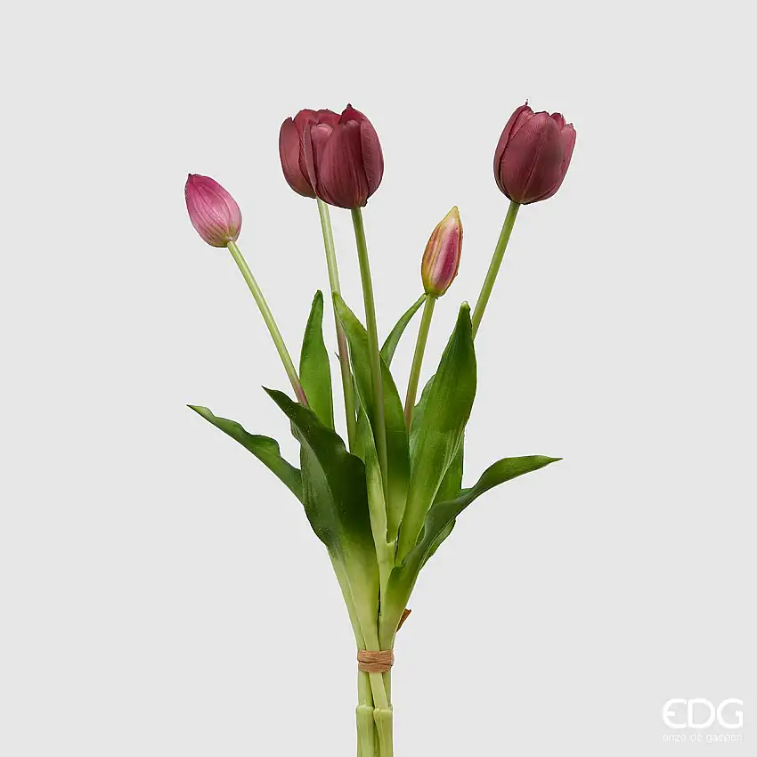 Anemone Chic Ramo 6 ass. h.50 Edg