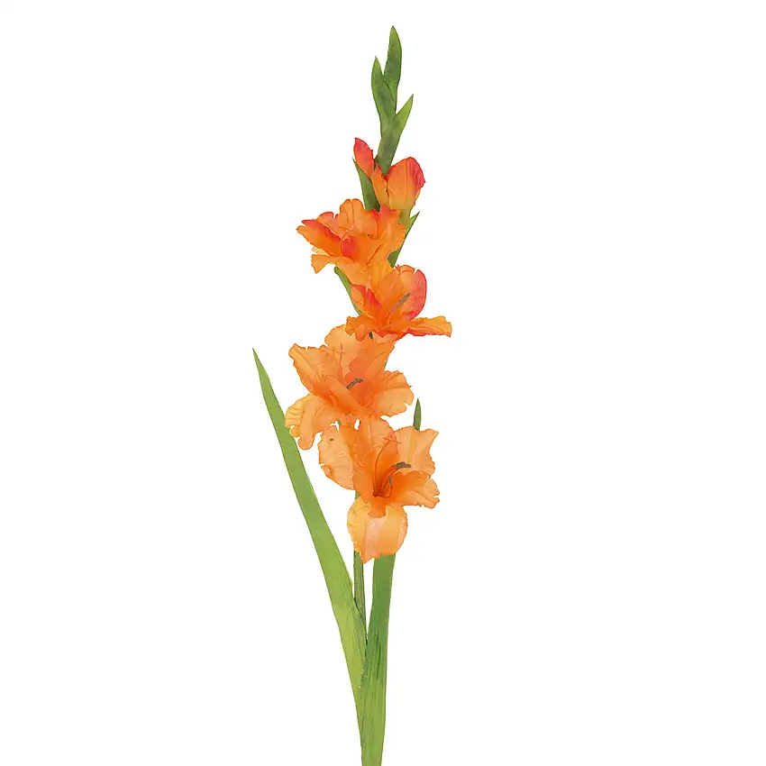 4 Pezzi • Gladiolo artificiale mini • 74 cm