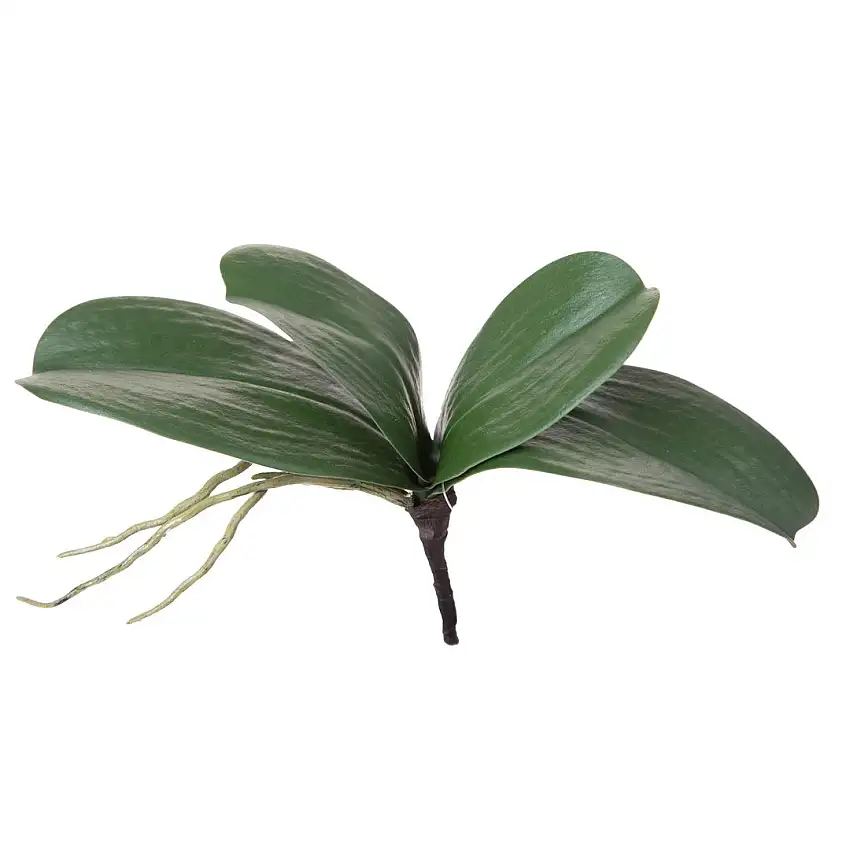 Orchidea artificiale  con 4 foglie artificiale •  36 cm