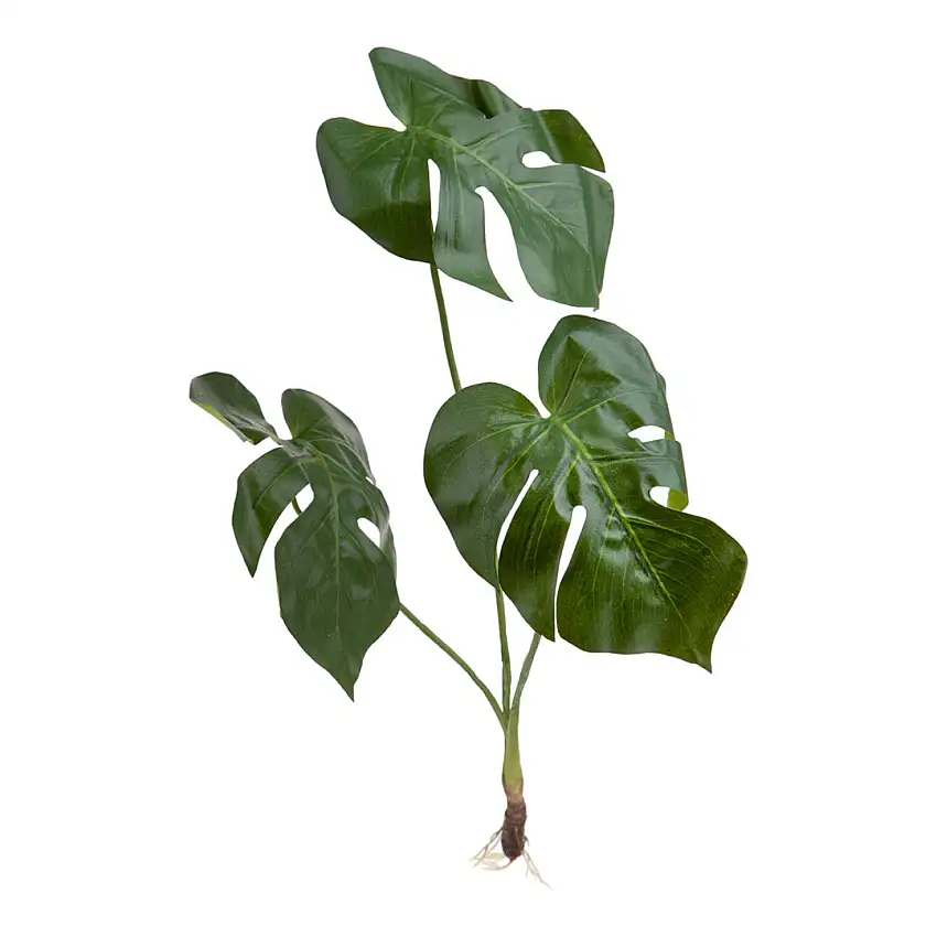 Monstera pianta artificiale •  65 cm