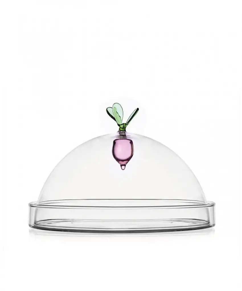 Ichendorf Cupola Con Piatto Vegetables Cipollotto
