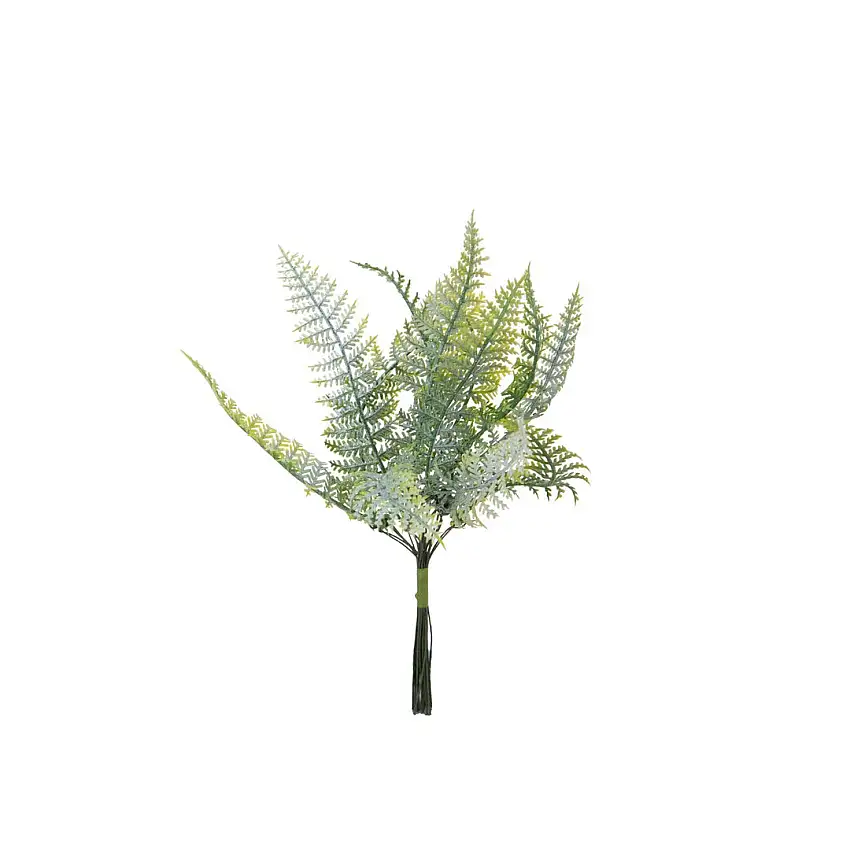 12 Pezzi • Pick con mini felce • 18 cm