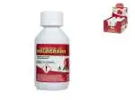 12x Flaconi Essenze Melograno, Plastica, 125Ml, Trasparente