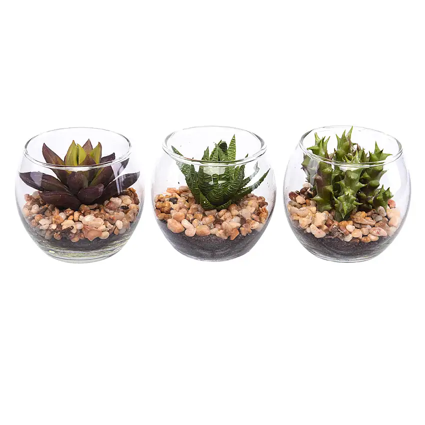 3 Pezzi • Pianta grassa con vaso artificiale •  5 cm