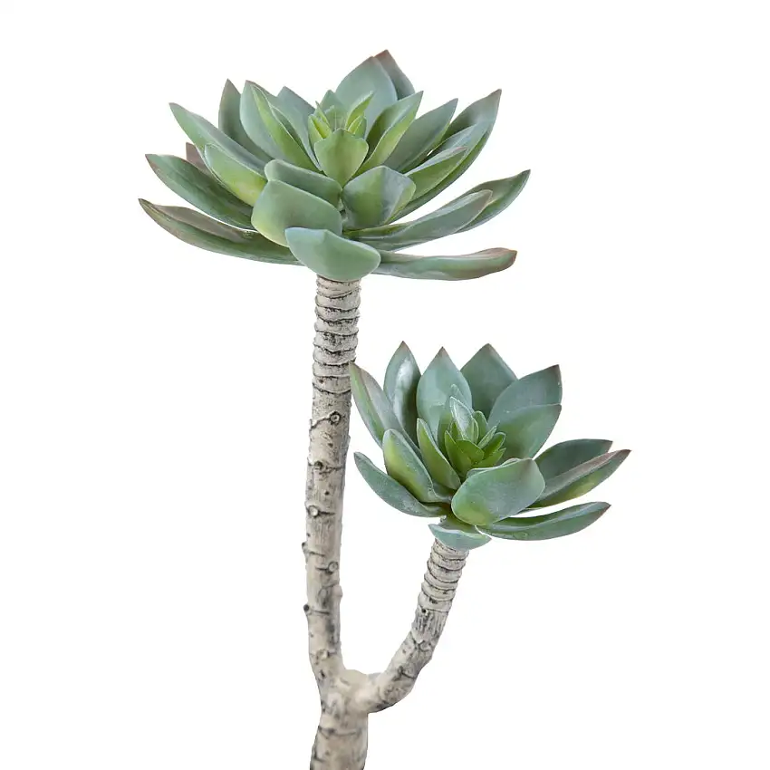2 Pezzi • Succulent a 2 diramazioni artificiale •  22 cm