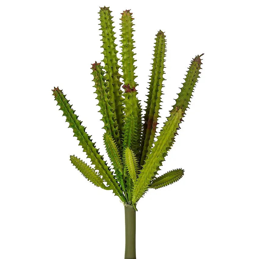 4 Pezzi • Staphelia cactus artificiale •  23 cm