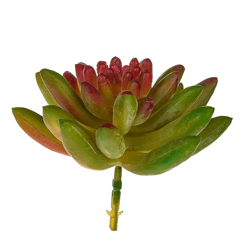 4 Pezzi • Crassula cactus artificiale •  9 cm