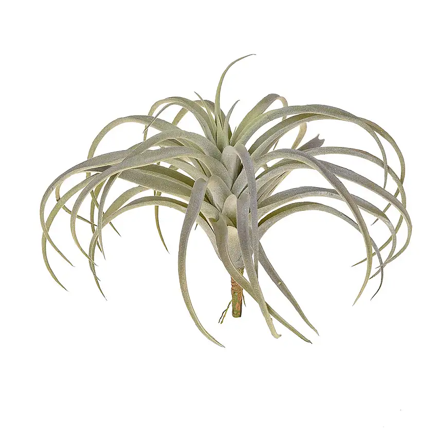 2 Pezzi • Tillandsia con 32 foglie artificiale •  27 cm