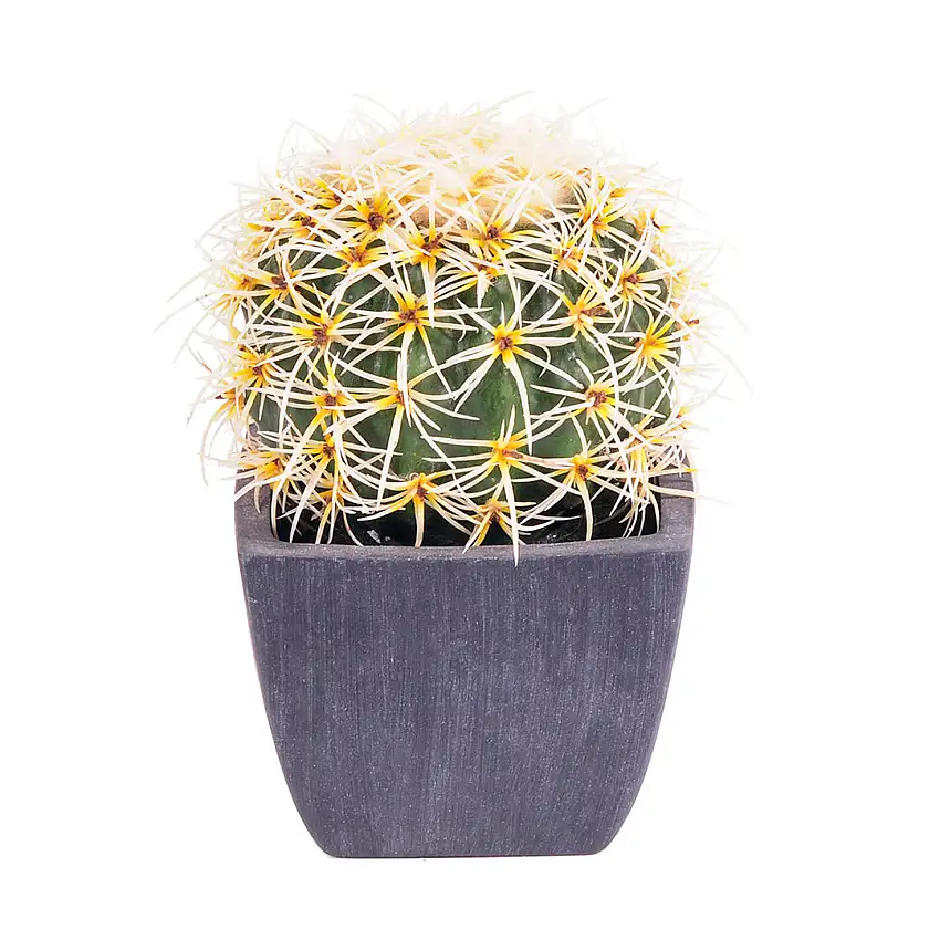 Cactus artificiale con vaso • 15 cm