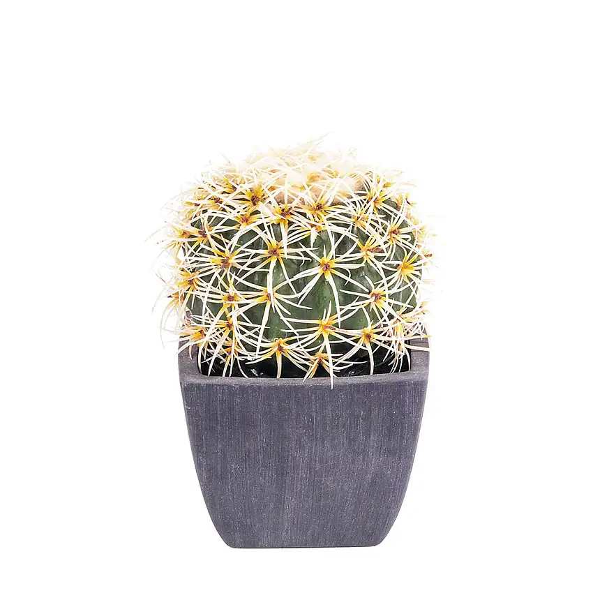 Cactus con vaso artificiale •  14 cm