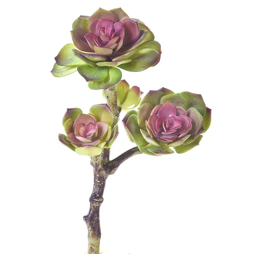 Ramo succulent singolo artificiale •  25,5 cm