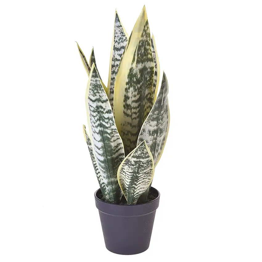 Verde artificiale San severia con vaso • 46 cm
