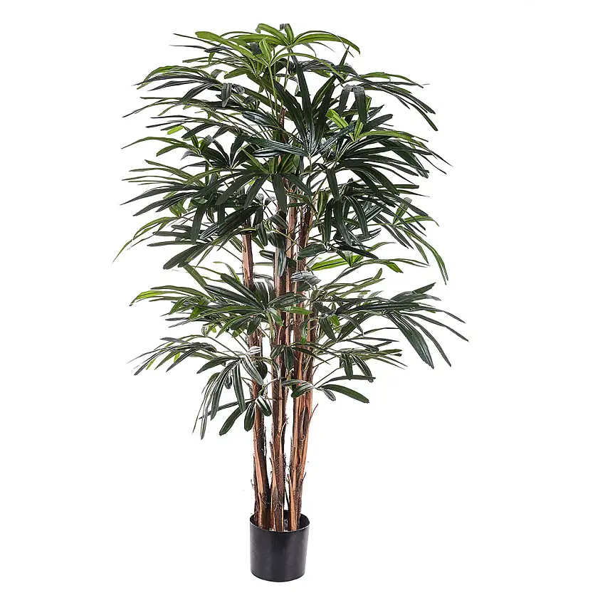Verde artificiale Rhapis excelsa con vaso • 155 cm