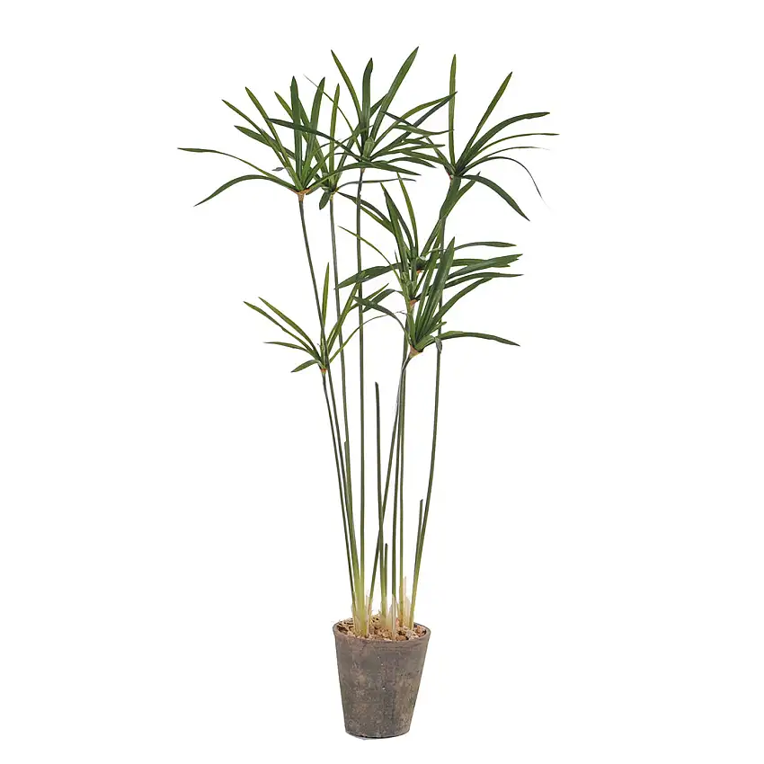 Verde artificiale Papiro country con vaso • 105 cm