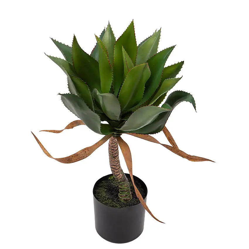 Pianta di Agave artificiale con vaso • 71 cm