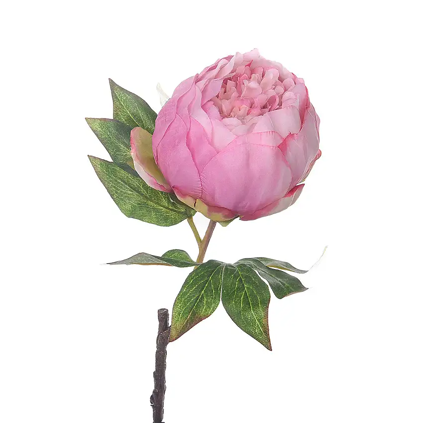 2 Pezzi • Fiore di Peonia artificiale • 50 cm