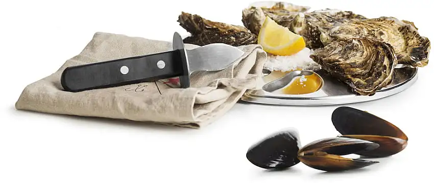Sagaform set per le ostriche acciaio inox