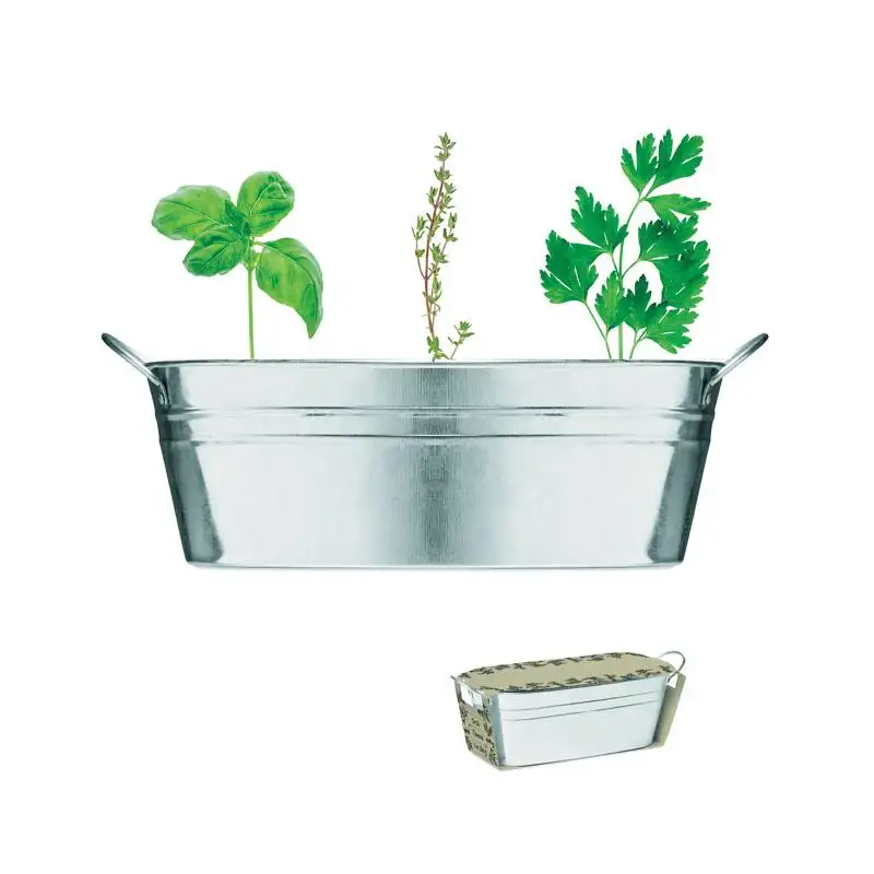 Vaschetta con 3 semi di erbe Mix seeds