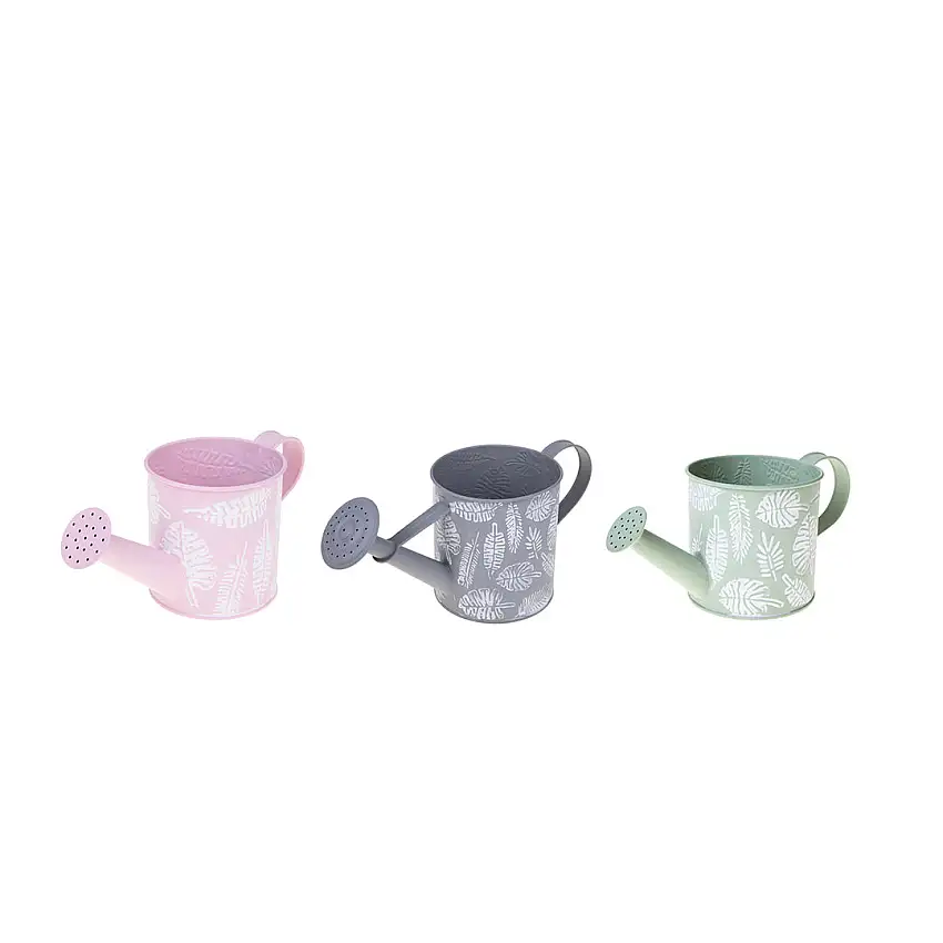 3 Pezzi • Annaffiatoio • 12 cm
