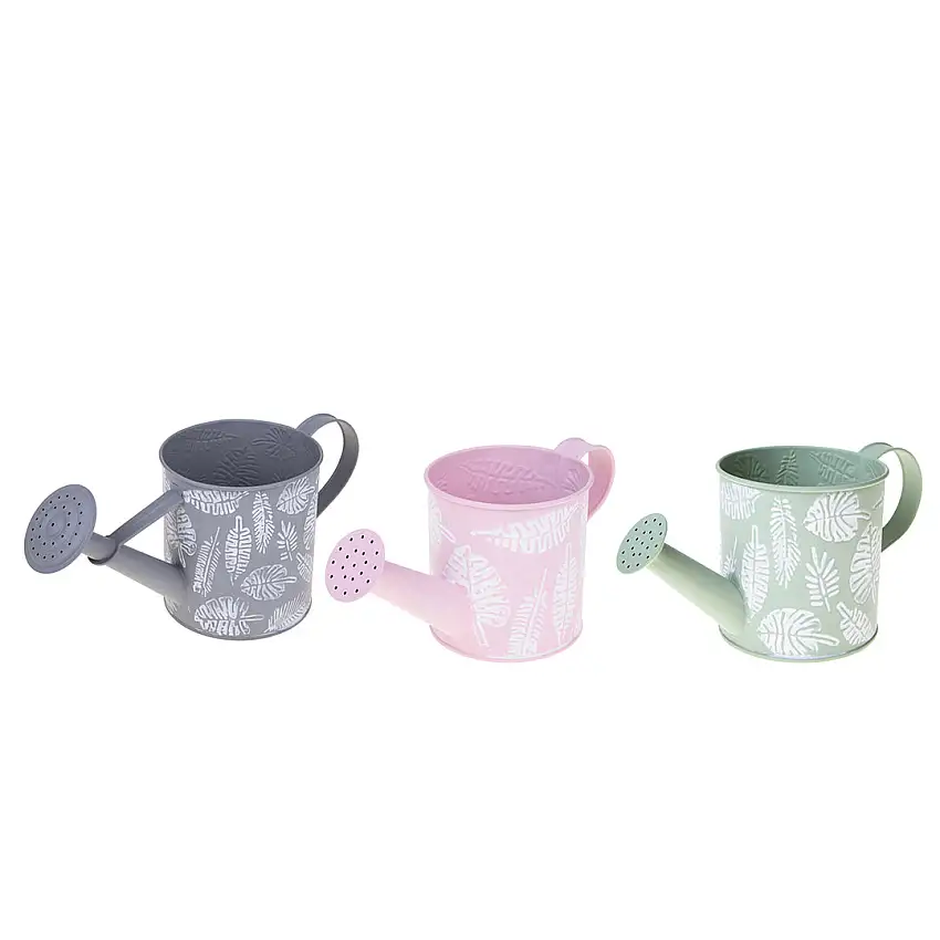 3 Pezzi • Annaffiatoio • 15 cm