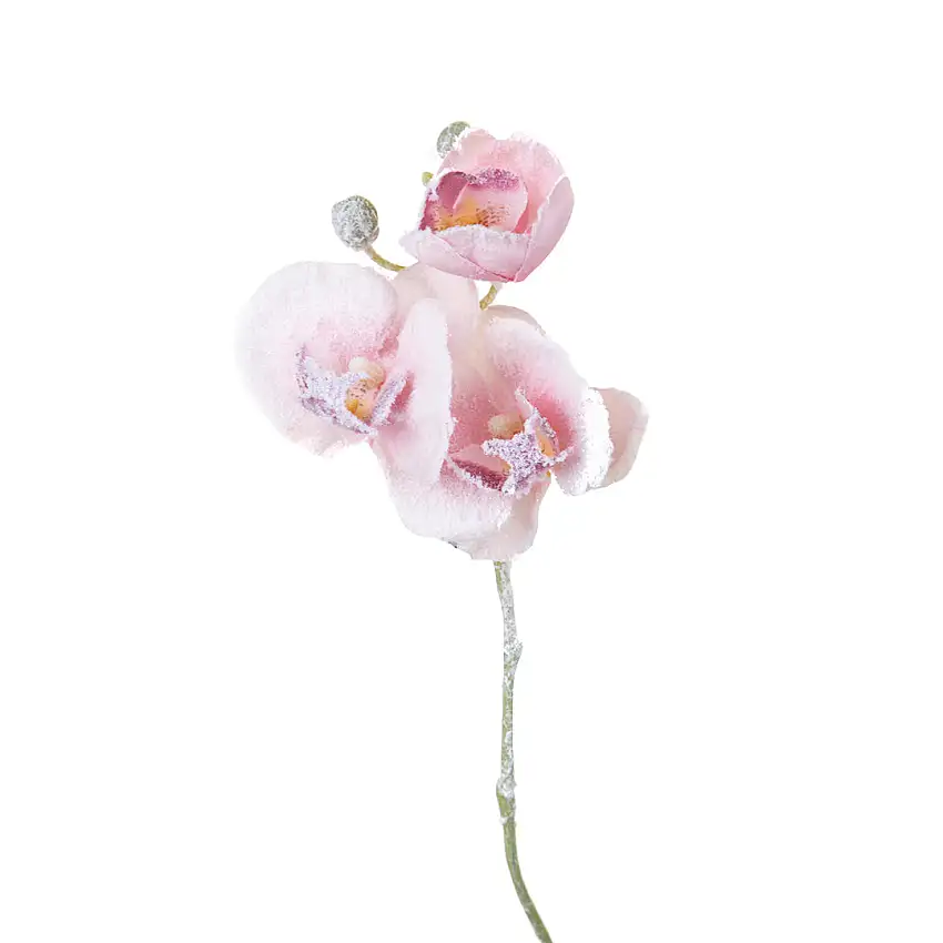 24 Pezzi • Tralcio phaleonopsis • 47 cm