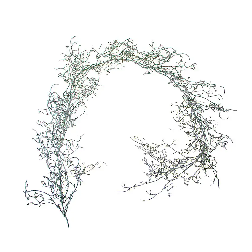 2 Pezzi • Ghirlandia tillandsia • 170 cm