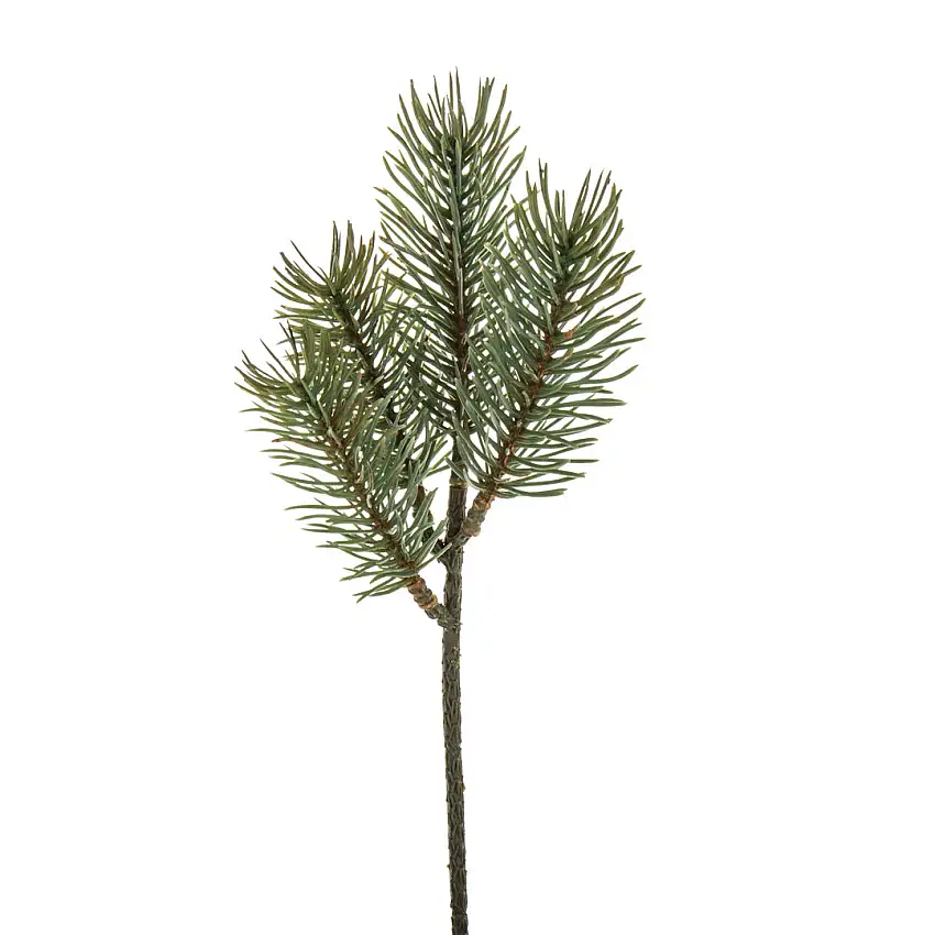 24 Pezzi • Pino pick • 24 cm