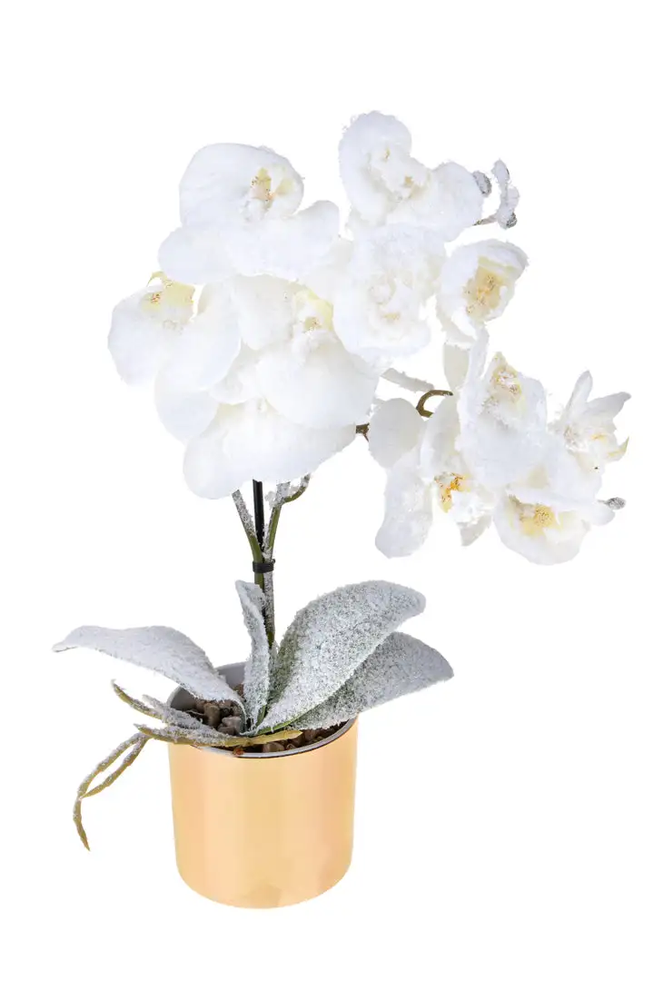 Centrotavola con orchidea • 89 cm